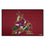 Arizona Coyotes Starter Mat Accent Rug - 19in. x 30in.