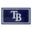 Tampa Bay Rays 3ft. x 5ft. Plush Area Rug