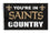 New Orleans Saints Flag 3x5 Country (CDG)