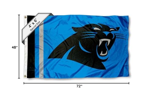 WinCraft Carolina Panthers 4 ft x 6 ft Foot Flag