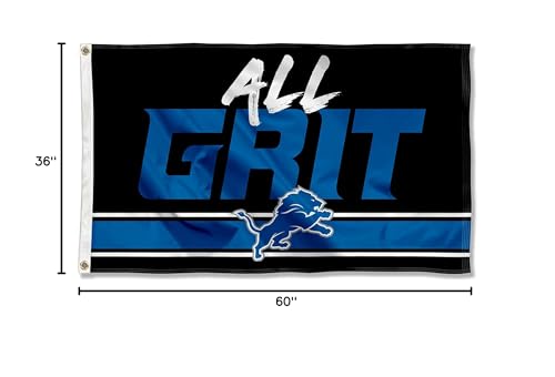 WinCraft Detroit Lions All Grit Large 3x5 Flag