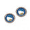 Georgia Southern Eagles Earrings Post Style (CDG)