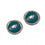 Philadelphia Eagles Earrings Post Style (CDG)