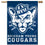 BYU Cougars Banner 28x40 Vertical (CDG)