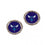 Charlotte Hornets Earrings Round Style (CDG)