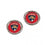 Florida Panthers Earrings Post Style (CDG)