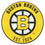 Retro NHL Boston Bruins Roundel Rug - 27in. Diameter