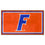 Florida Gators 3ft. x 5ft. Plush Area Rug