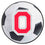 Ohio State Buckeyes Soccer Ball Rug - 27in. Diameter