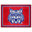 Arizona Wildcats 8ft. x 10 ft. Plush Area Rug