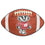 Wisconsin Badgers Football Rug - 20.5in. x 32.5in.