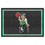 Boston Celtics 5ft. x 8 ft. Plush Area Rug