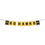 Iowa Hawkeyes Banner String Pennant Flags