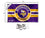 Minnesota Vikings Patch Button Banner and Tapestry Wall Tack Pads