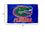 College Flags & Banners Co. Florida Gators Blue Flag and USA 3x5 Flag Set