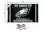 Philadelphia Eagles Fly Eagles Fly Super Bowl Champions Banner and Tapestry Wall Tack Pads