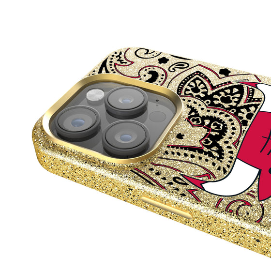 Chicago Bulls Paisley Bling Phone Case-2