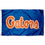 University of Florida Gators Flag and USA 3x5 Flag Set