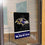 Baltimore Ravens Banner Window Wall Hanging Flag with Suction Cup