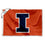 College Flags & Banners Co. Illinois Fighting Illini Small 2x3 Foot Flag