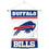 Buffalo Bills Sir Saint Banner Window Wall Hanging Flag with Suction Cup