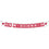 Wisconsin Badgers Banner String Pennant Flags