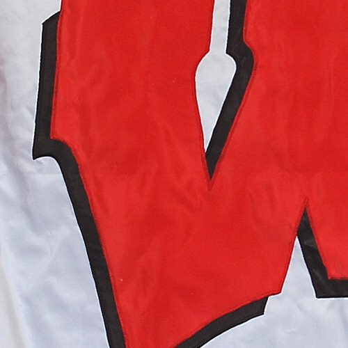 Wisconsin Badgers Banner Flag