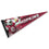 WinCraft Arizona Cardinals Hopkins Pennant Banner Flag