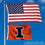 College Flags & Banners Co. Illinois Fighting Illini Small 2x3 Foot Flag