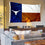 Texas Longhorns State TX Banner and Tapestry Wall Tack Pads