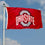 College Flags & Banners Co. Ohio State Buckeyes Polyester Outdoor 3x5 Grommet Banner Flag