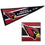 WinCraft Arizona Cardinals Embroidered and Sewn Pennant