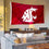 Washington State Cougars Banner and Tapestry Wall Tack Pads