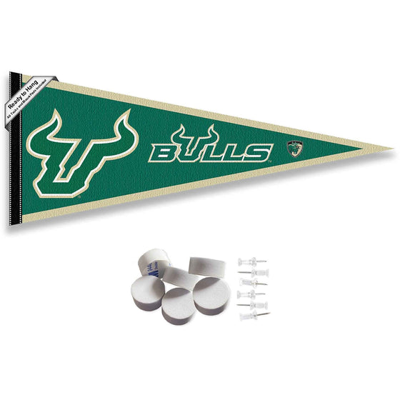 College Flags & Banners Co. South Florida Bulls Pennant Flag and Wall Tack Mount Pads