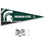 College Flags & Banners Co. Michigan State Spartans Pennant Flag and Wall Tack Mount Pads