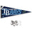 Tampa Bay Rays Pennant Banner and Wall Tack Pads