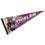 WinCraft Minnesota Vikings Thielen Pennant Banner Flag