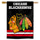 WinCraft Chicago Blackhawks Two Sided House Flag