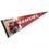 WinCraft San Francisco 49ers Samuel Pennant Banner Flag