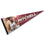 WinCraft Cleveland Cavaliers Mitchell Pennant Flag