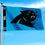 WinCraft Carolina Panthers Printed Header 3x5 Foot Banner Flag