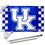 College Flags & Banners Co. Kentucky Wildcats Checkerboard Flag with Pole and Bracket Kit