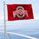 College Flags & Banners Co. Ohio State Buckeyes Boat and Golf Cart Flag