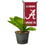 College Flags & Banners Co. Alabama Crimson Tide Mini Garden and Flower Pot Flag Topper