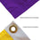 College Flags & Banners Co. Louisiana State LSU Tigers 2019 2020 Football National Champions Flag