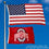 College Flags & Banners Co. Ohio State Buckeyes 2x3 Foot Flag