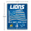 WinCraft Detroit Lions Americana Banner Flag Sign