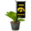 College Flags & Banners Co. Iowa Hawkeyes Mini Garden and Flower Pot Flag Topper