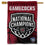 WinCraft South Carolina Gamecocks 2024 Womens Basketball National Champions Banner Vertical Flag