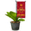 College Flags & Banners Co. Iowa State Cyclones Mini Garden and Flower Pot Flag Topper